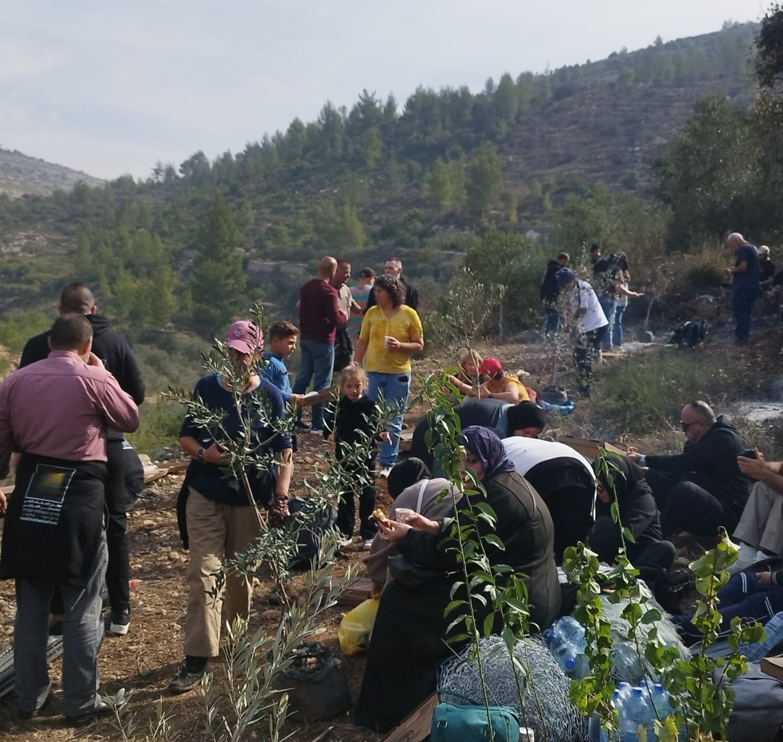 "Solidarity Event and Olive Tree Planting in Battir Village"